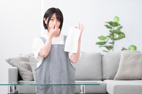 クロスの張り替え、どう見極める?暮らしのサインとプロの視点④